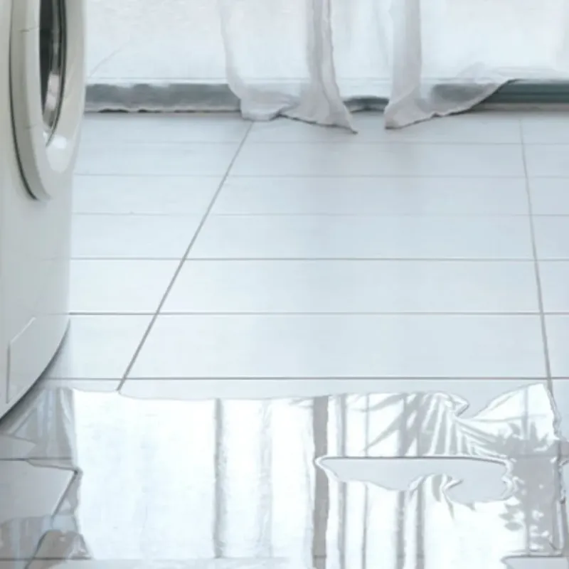 Appliance Leak Cleanup in Pell Lake, WI