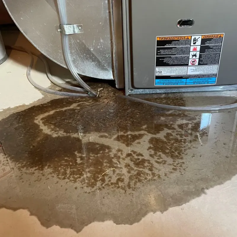 Pipe Burst and Leak Restoration in Pell Lake, WI